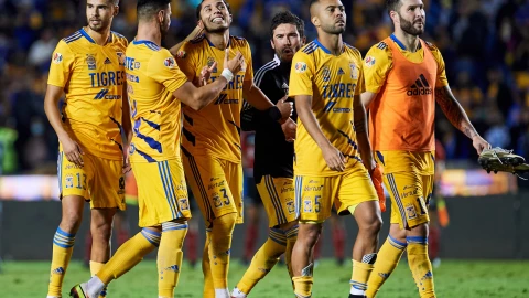 Igor Lichnovsky refuerzo Tigres