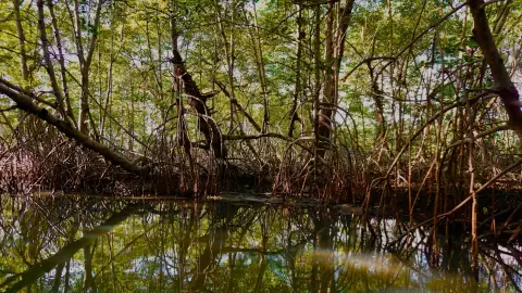 ¿Cuáles son las efemérides del 26 de julio en México y el mundo?