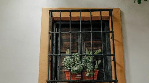 Mantén los rieles de tus ventanas limpios con estos ingredientes de baño