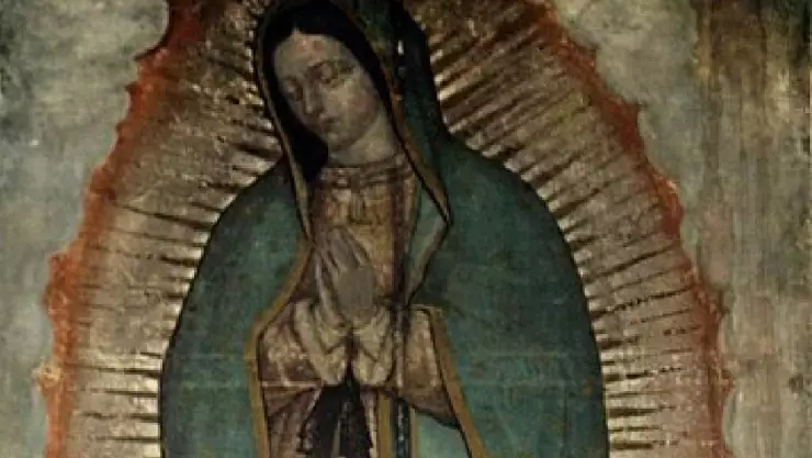 Halla obrero silueta de la Virgen de Guadalupe, le concede milagro
