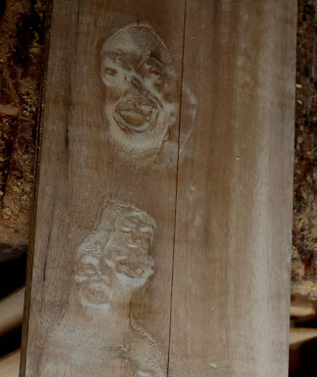 Pareidolia, rostros, cerebro.jpg