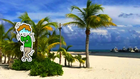 Conoce la hora de más fresco en Playa del Carmen HOY 18 de enero de 2026.webp