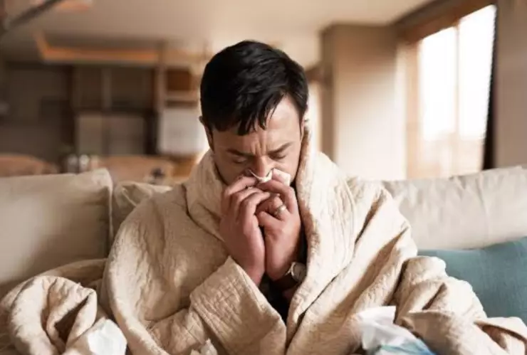 metapneumovirus humano virus HMPV