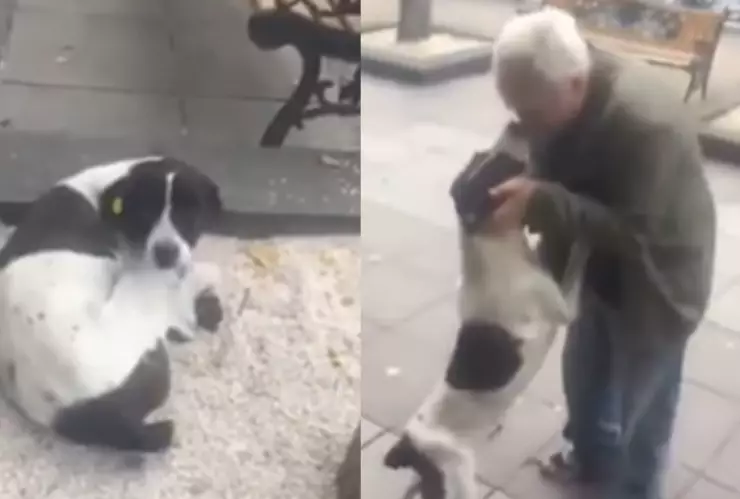 Reencuentro entre un abuelo y su perrito.png