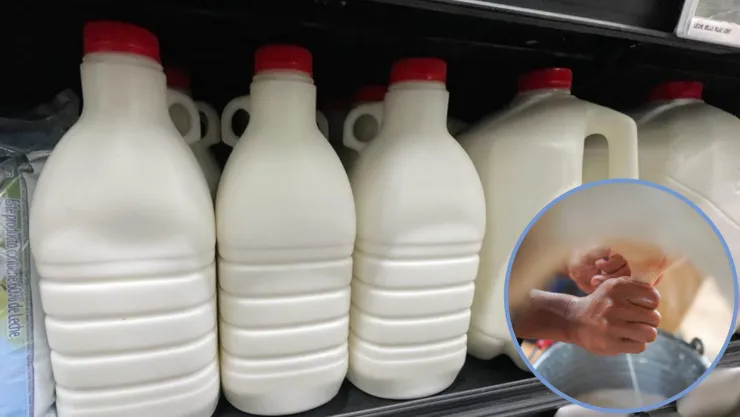 Leche en Sinaloa