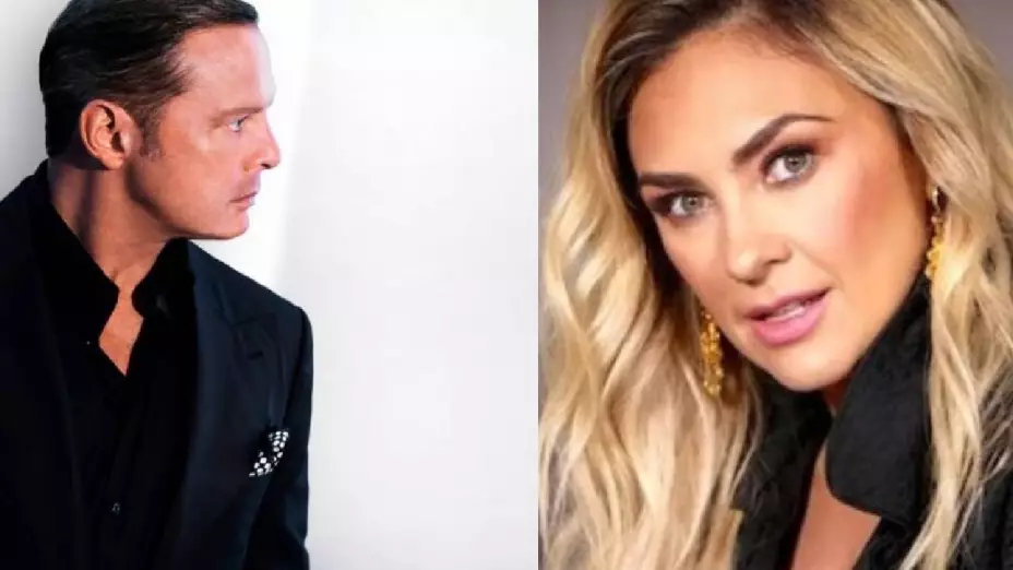 Aracely arámbula llama el rey cucaracho a luis miguel