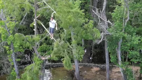 Hombre se cae de un árbol de 20 metros de altura