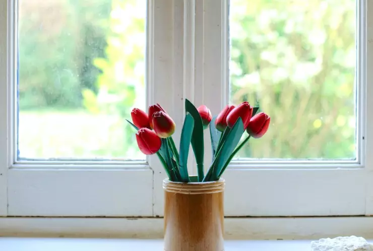 Dile adiós al moho de las ventanas con este trucazo