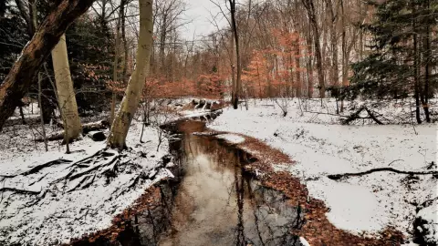Nevadas en Chihuahua