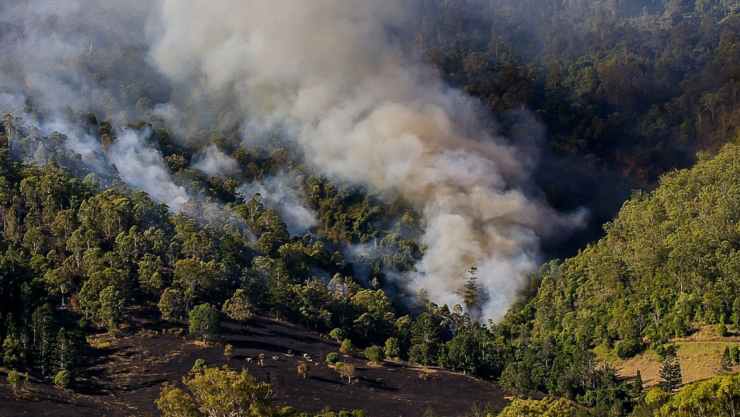 Incendios Forestales