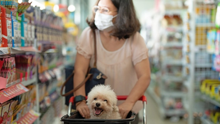 Estos son los supermercados que son pet friendly en CDMX.