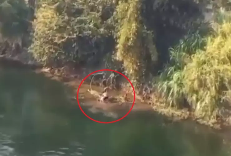 familia muere ahogada río semana santa