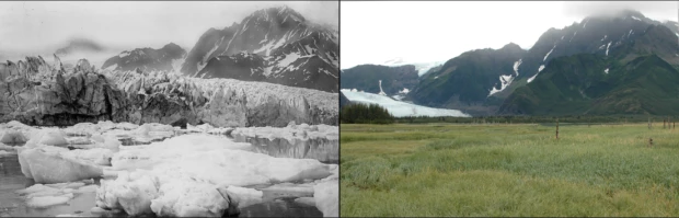 Glaciar Pedersen.png
