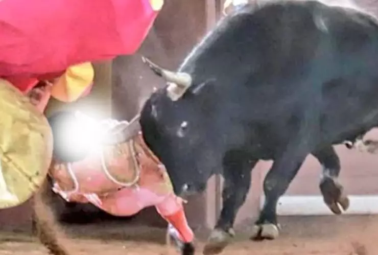 Torero José Alberto Ortega recibe fuerte cornada en el cuello