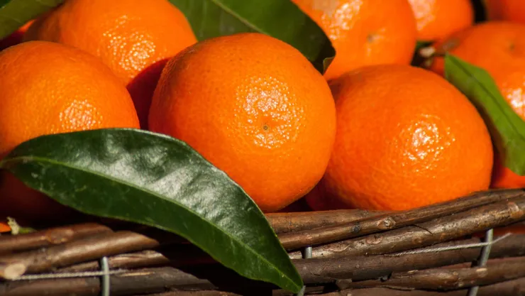 ¿Qué pasa si como mandarina en la noche? La respuesta te sorprenderá