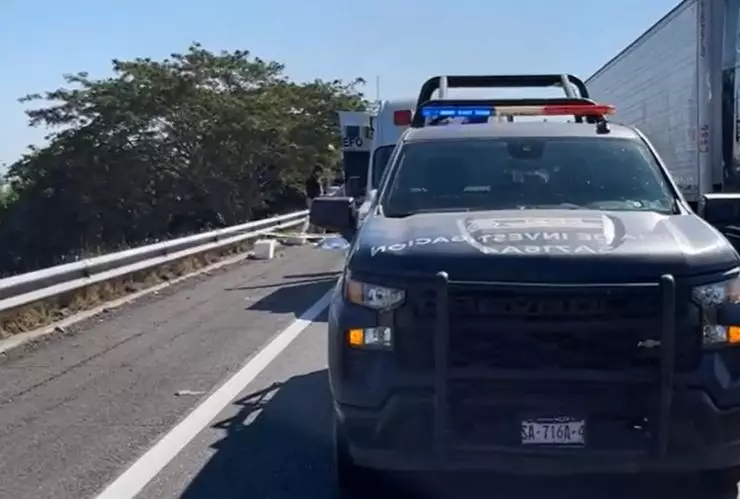 Hieleras con cuerpo al interior