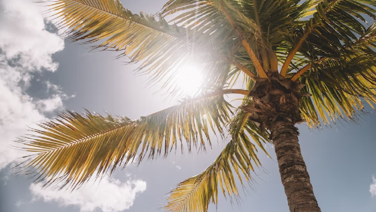 Clima en Quintana Roo y Campeche, hoy domingo 19 de febrero.jpg