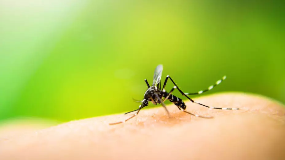 Se confirma muerte por dengue en Jalisco.