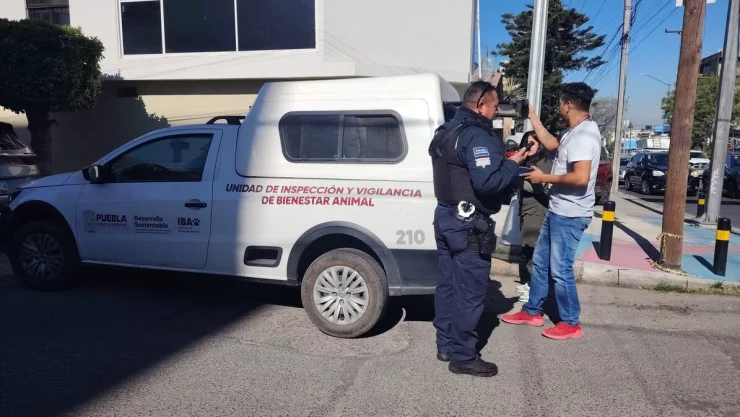 Negligencia de Bienestar Animal en Puebla