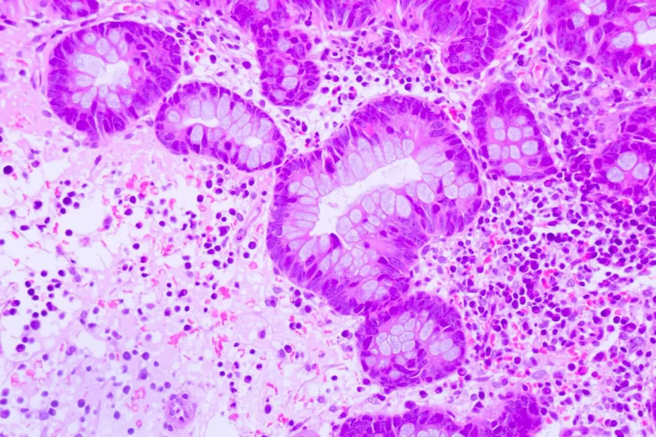 WhatsApp Image 2024-10-23 at 12.36.28.jpg