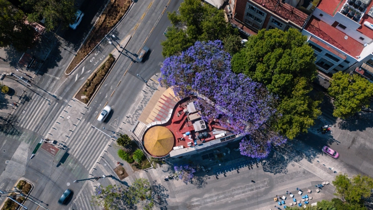 barrio CDMX