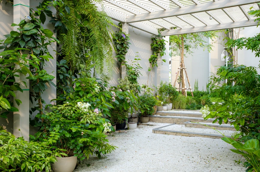 toldo sombra casa