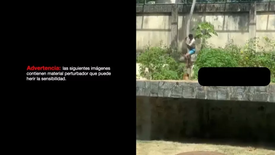 Tragedia en el Parque Arruda Câmara: Hombre muere tras ingresar a la jaula de una leona en João Pessoa