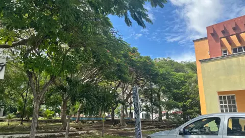 pertos pitbull agersicvos.