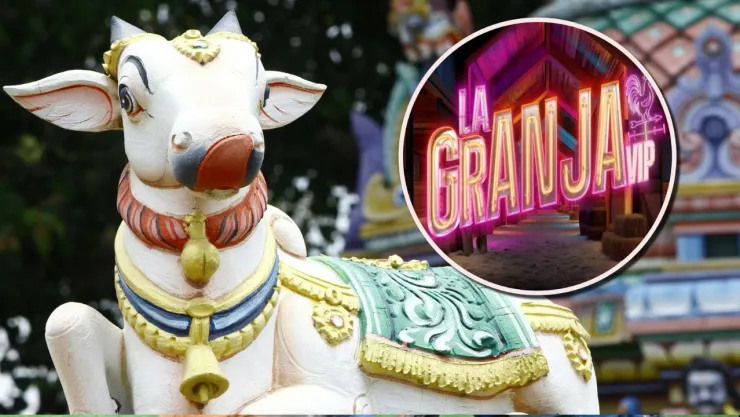 Los animales de La Granja VIP con mayor poder espiritual según la IA.jpg