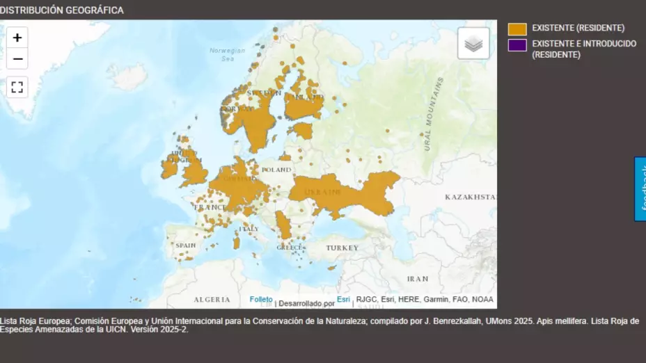 mapa de abejas silvestres
