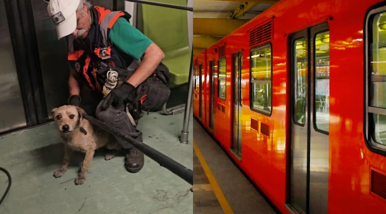 ¿Qué está pasando en el Metro CDMX? Este es el avance de las 12 líneas hoy 1 de octubre 2026