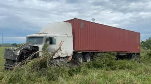 carretera xalapa-veracruz.