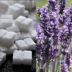 /estilo-de-vida/azucar-con-lavanda-para-que-sirve-por-que-recomiendan