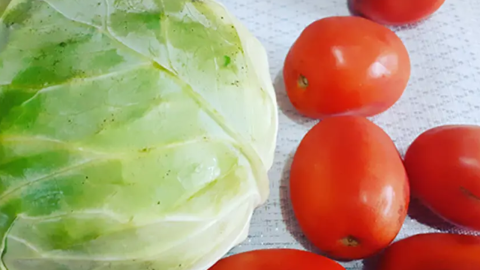 Tomate y col