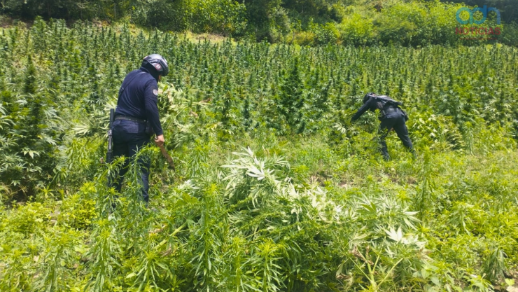 narcotráfico en Guerrero
