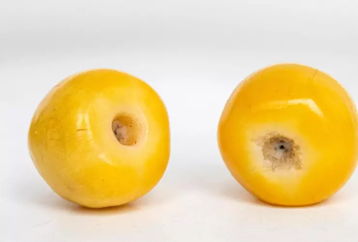 La fruta dorada que aporta grandes beneficios para una piel radiante