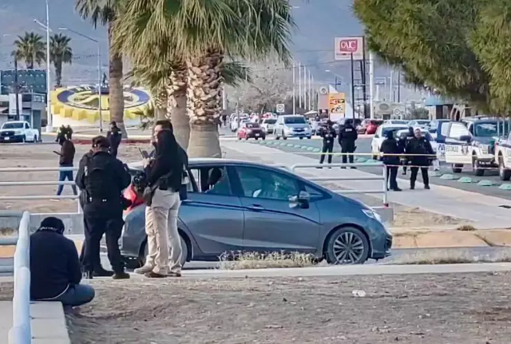 WhatsApp Image 2025-01-16 at 4.37.13 PM.jpeg