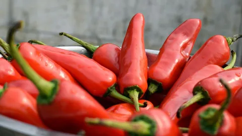 ¿Cómo hacer salsa sriracha en casa?