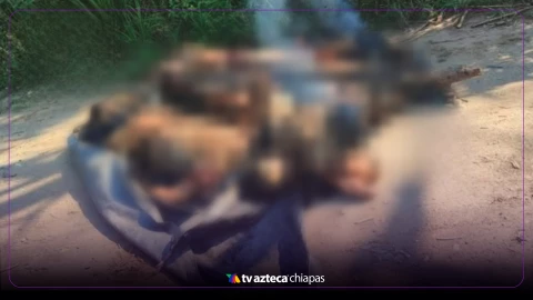 Localizan 4 cuerpos sin vida en Cárdenas, Tabasco hoy, 14 de mayo del 2025