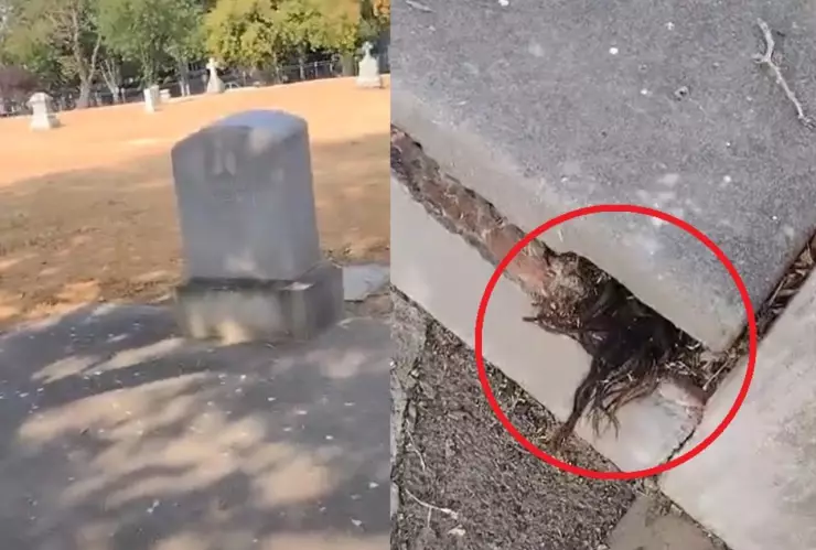 Cabello, tumba a.jpeg