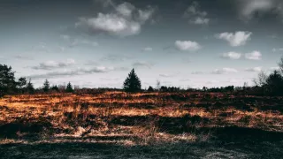 Alerta por Incendio en el cerro de Zumpango en Atlangatepec, Tlaxcala