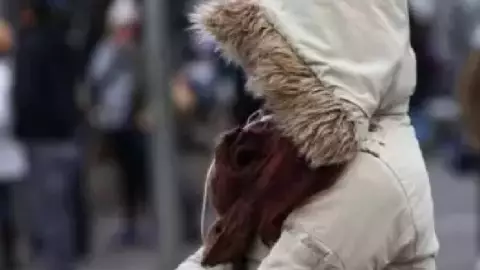 Pronóstico del clima HOY martes 3 de febrero en Yucatán