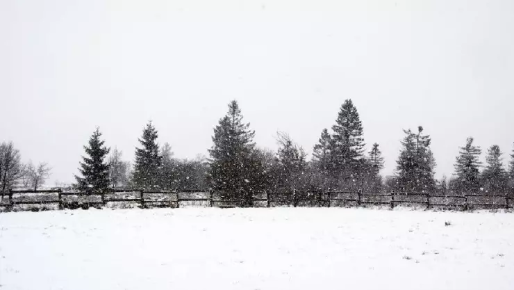 Se esperan temperaturas heladas y posible caída de aguanieve esta noche en BC
