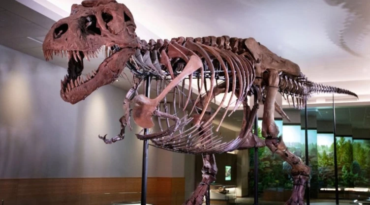 t_rex.jpg