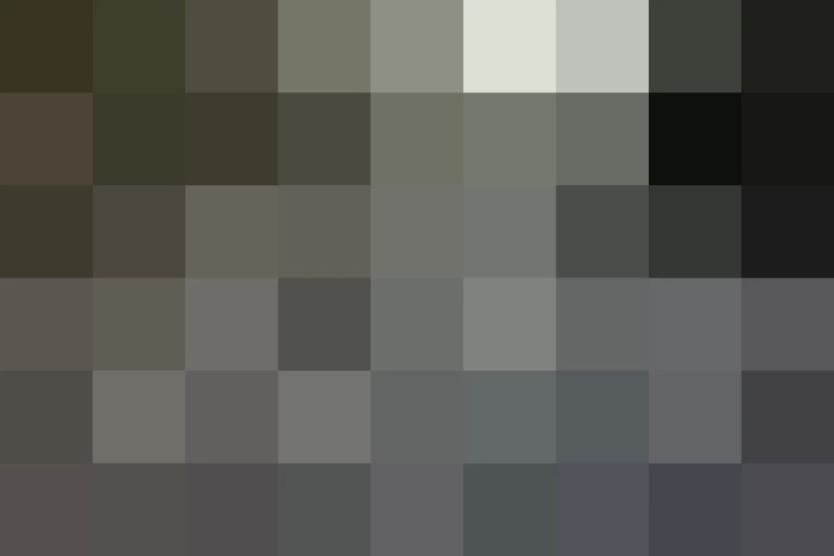 Los dreamers podrían ser juzgados por tres delitos