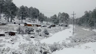 el-lugar-mas-frio-en-mexico-segun-ia-la-rosilla