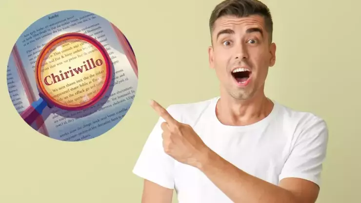 Qué significa la palabra “chiriwillo” y por qué a nadie de CDMX le gustaría que se la dijeran