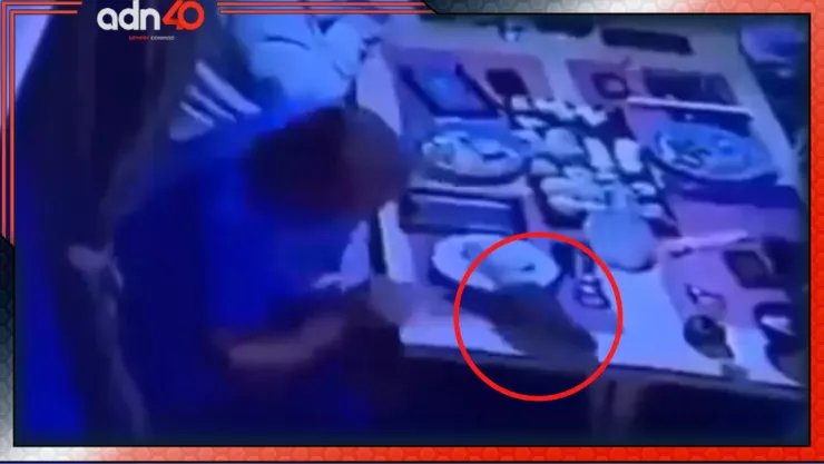 Rata cae sobre cliente en pleno restaurante