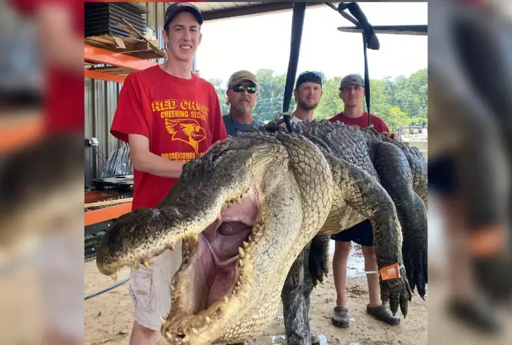 caimán objetos históricos.jpg