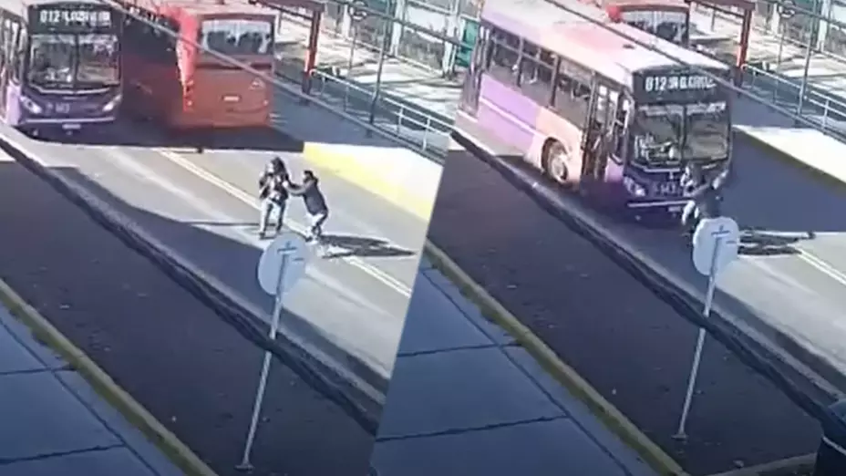 Atropellados Argentina.jpg